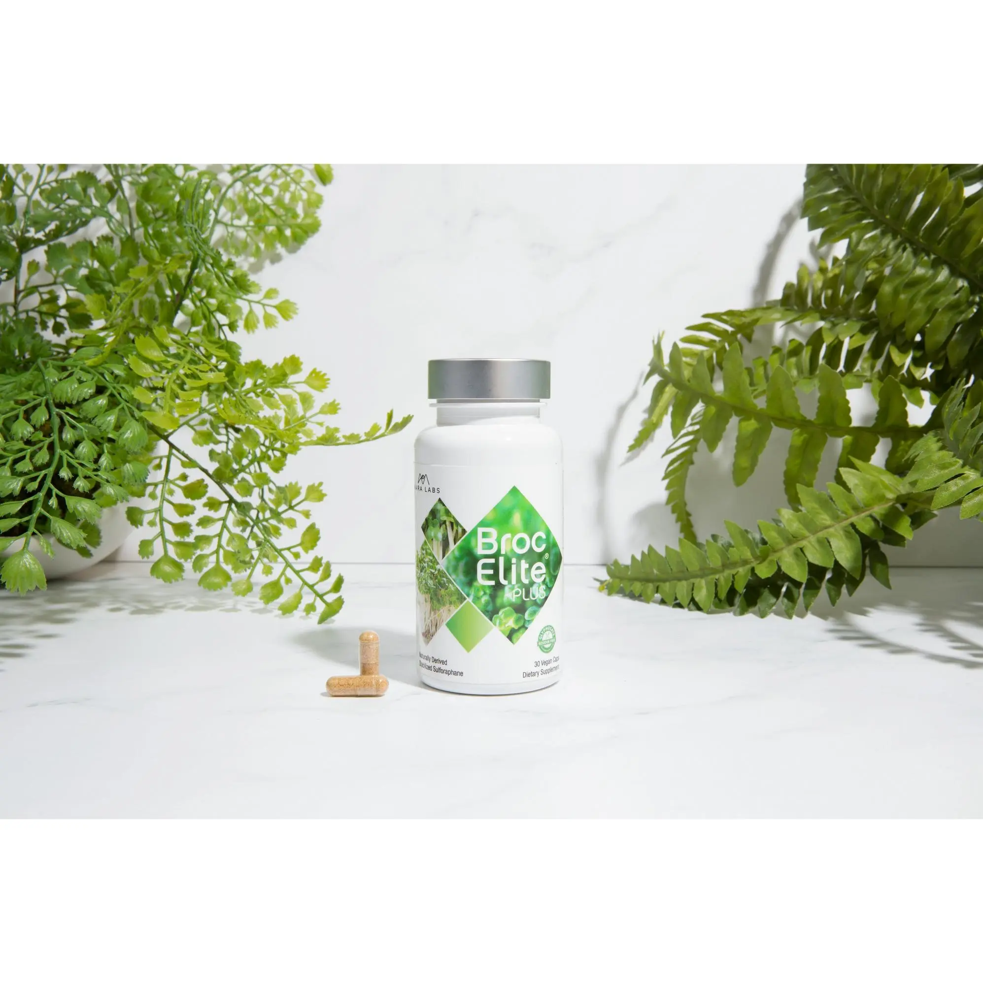 Mara Labs BrocElite Plus, Healthcare Supplement with Stabilized Sulforaphane, 30 Vegan Capsules for Detox & Antioxidant Support - 1 Pack