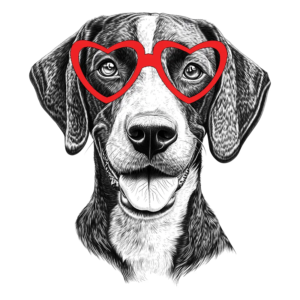 German Shorthaired Pointer