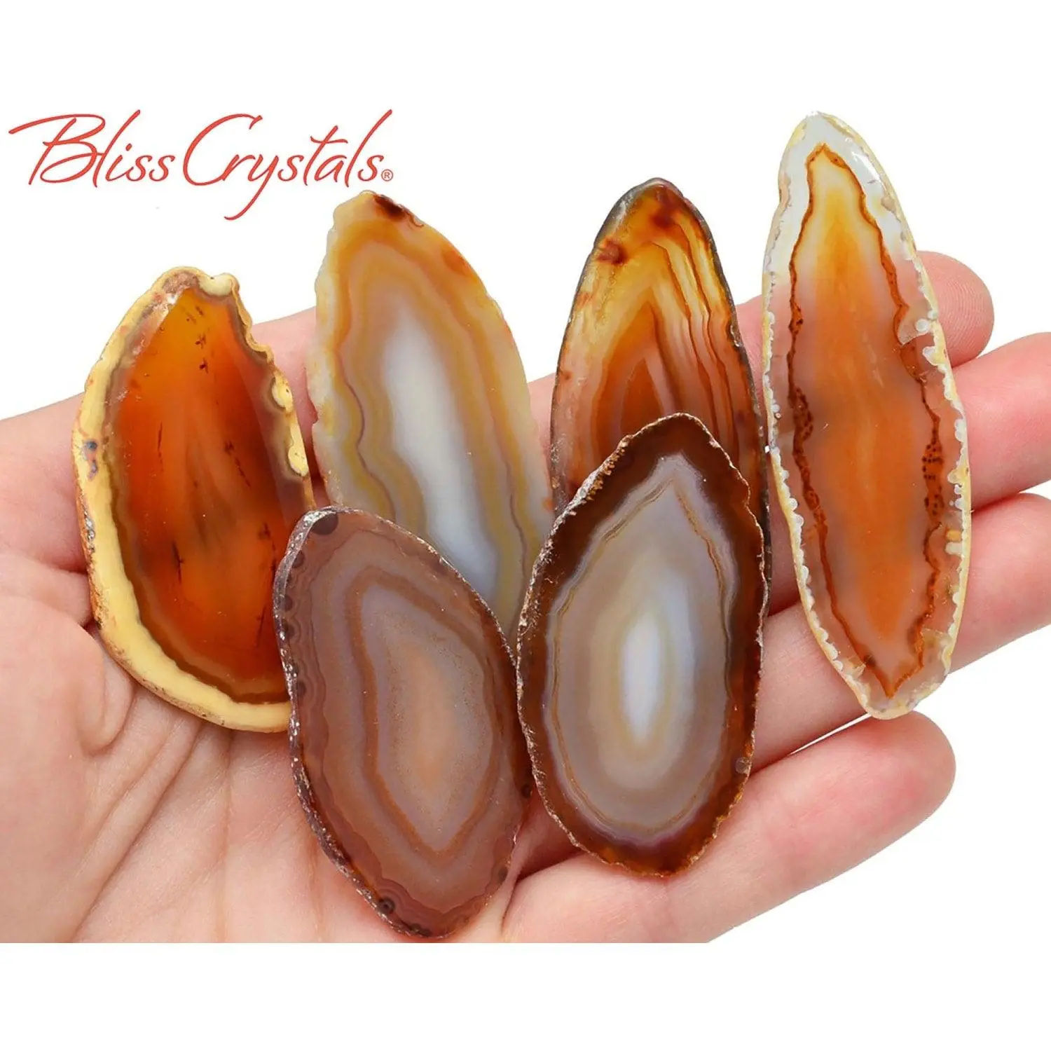 1 Large Fancy GOLD AGATE Slab Slice Polished Crystal - Stand Optional #SR55