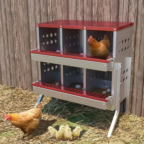 Red Rustproof Steel 6-Room Roll-Away Chicken Laying Nesting Box - Poultry Equipment with Legs, Auto Collection, Water Rinse Compatibility, Plastic Eggs, Protective Panel, 9.84"d x 9.06"w x 8.46"h for Multiple Hens, Chicken Coop Accessories