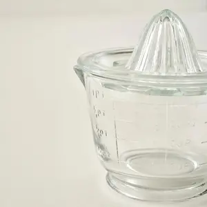 Bloom Glass Citrus Juicer