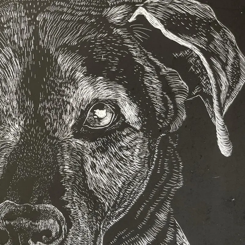 Pet Portrait x 8x10 - Detailed Black and White Custom Artwork for Pet Memorial - Medium/Small Size - Personalized Pet Art