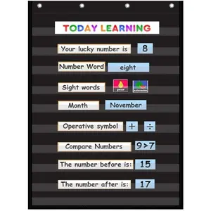 Standard Pocket Chart Clear 10 Pockets Chart for Classroom & Home Heavy Duty Hanging Pocket Chart for Word Wall/Letter Cards/Sentence Strips,28Wx43L,Black