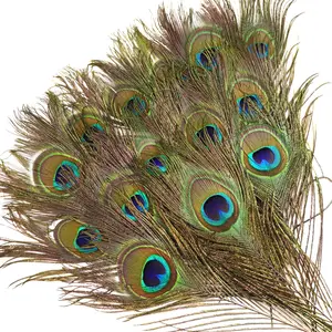 12 count Real  Peacock Eye Feathers10-12 inch(25-30 cm) for DIY Craft, Wedding Holiday Christmas Decoration