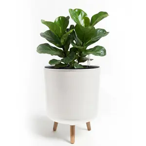 Bamworld Self Watering Pots for Indoor Plants with Water Level Indicator 8 inch  10 inch 12 inch Plant Pot Plastic Planter with Wooden Stand for Outdoor Plants Modern Décor for Porch Patio White