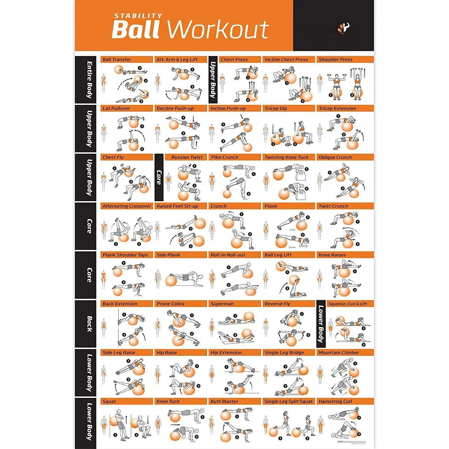 Workout Posters For Home Gym - Exercise Full Body Core  Abs Glutes & Upper Program