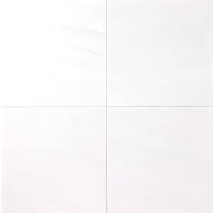 Bianco Dolomite Marble 12x12 Polished/Honed Field Tile Sample