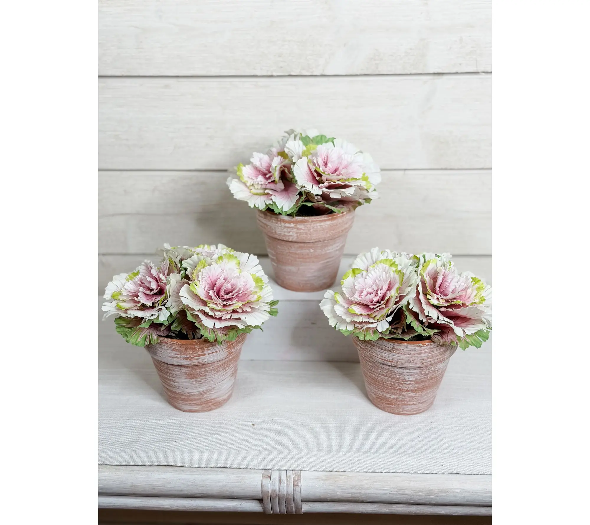 Simply Stunning Set of 3 Real Touch Potted Cabbages by Janine Graff