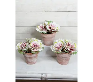 Simply Stunning Set of 3 Real Touch Potted Cabbages by Janine Graff