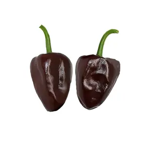 Chilhuacle Negro Pepper Seeds - Rare Mole Pepper -  Mild Complex Flavor