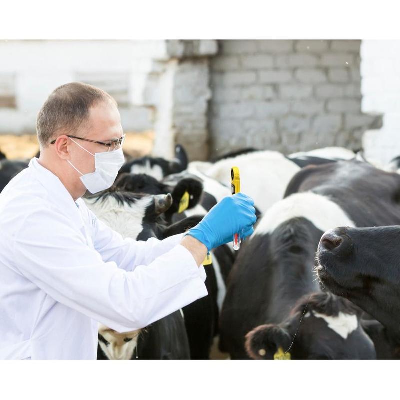 Kestrel 3500DT Pocket Delta-T Crop Spraying Weather Meter