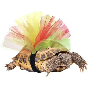 Cute Costume for Pet Tortoise Turtle, Creative Decoration Creative Gift