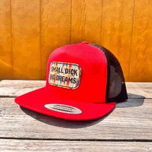 Small D*ck big Dreams SnapBack hat Quality Caps Adjustable Caps