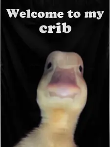 Welcome to My Crib Flag 2x3 Feet Funny Duck Flag Indoor and Outdoor Decorations with Brass Grommets for Home Decor, University Dormitory, Party Events, Bedhead Background, Gifts