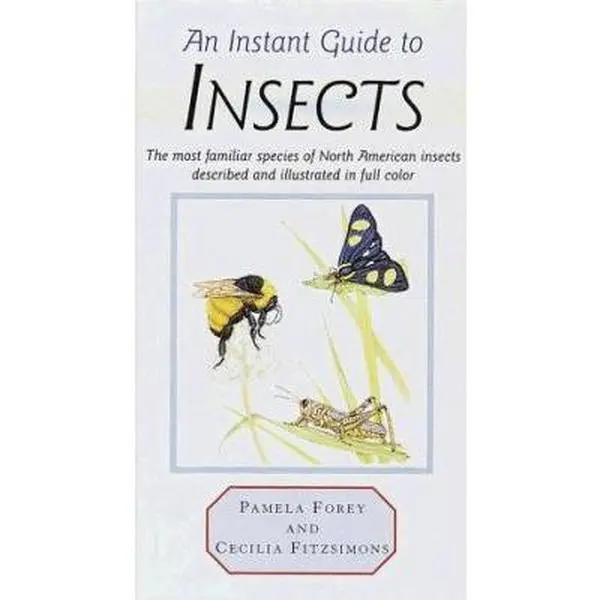USED-Instant Guide to Insects by Pamela Forey (Hardcover)