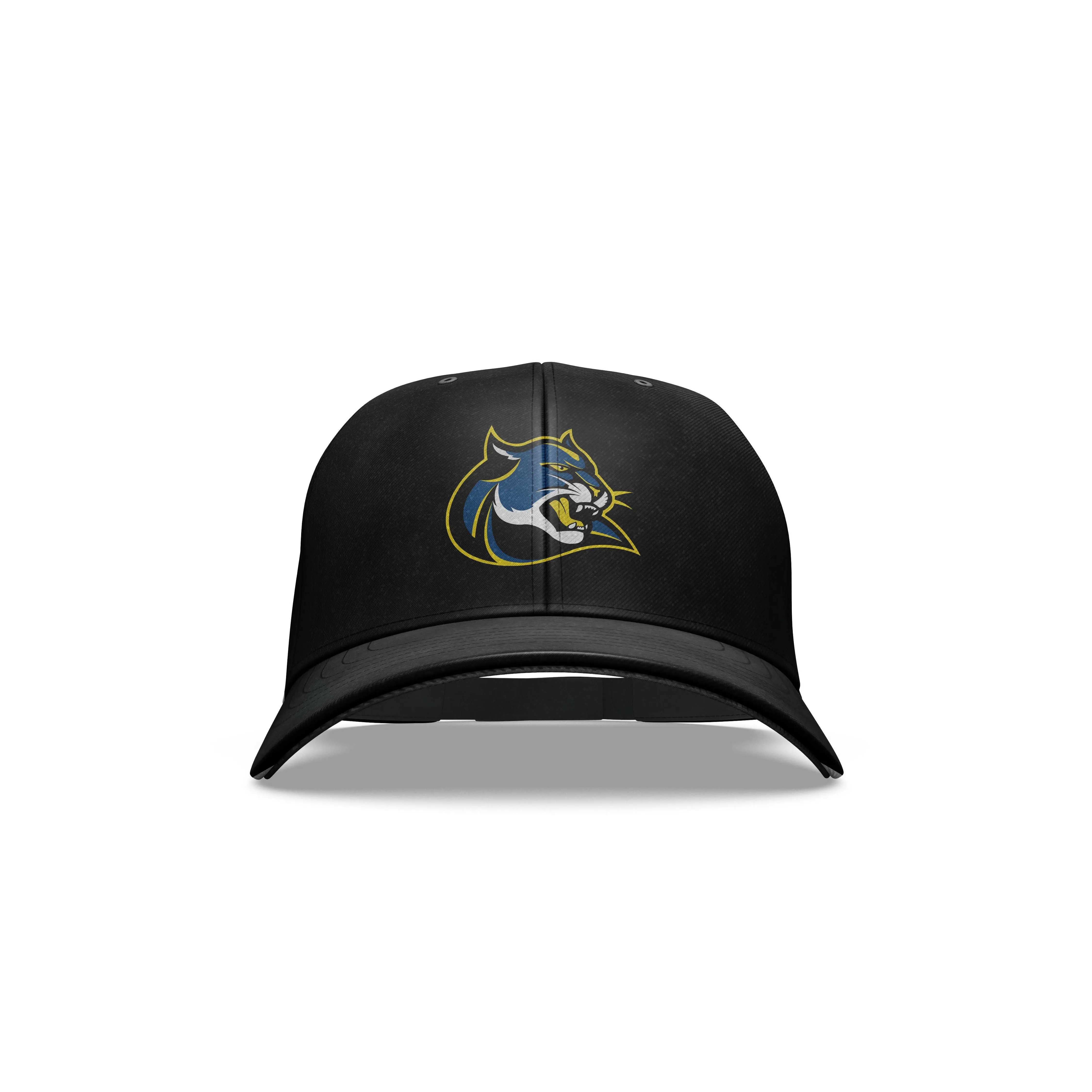 Wise Marching Band: Snapback Hat