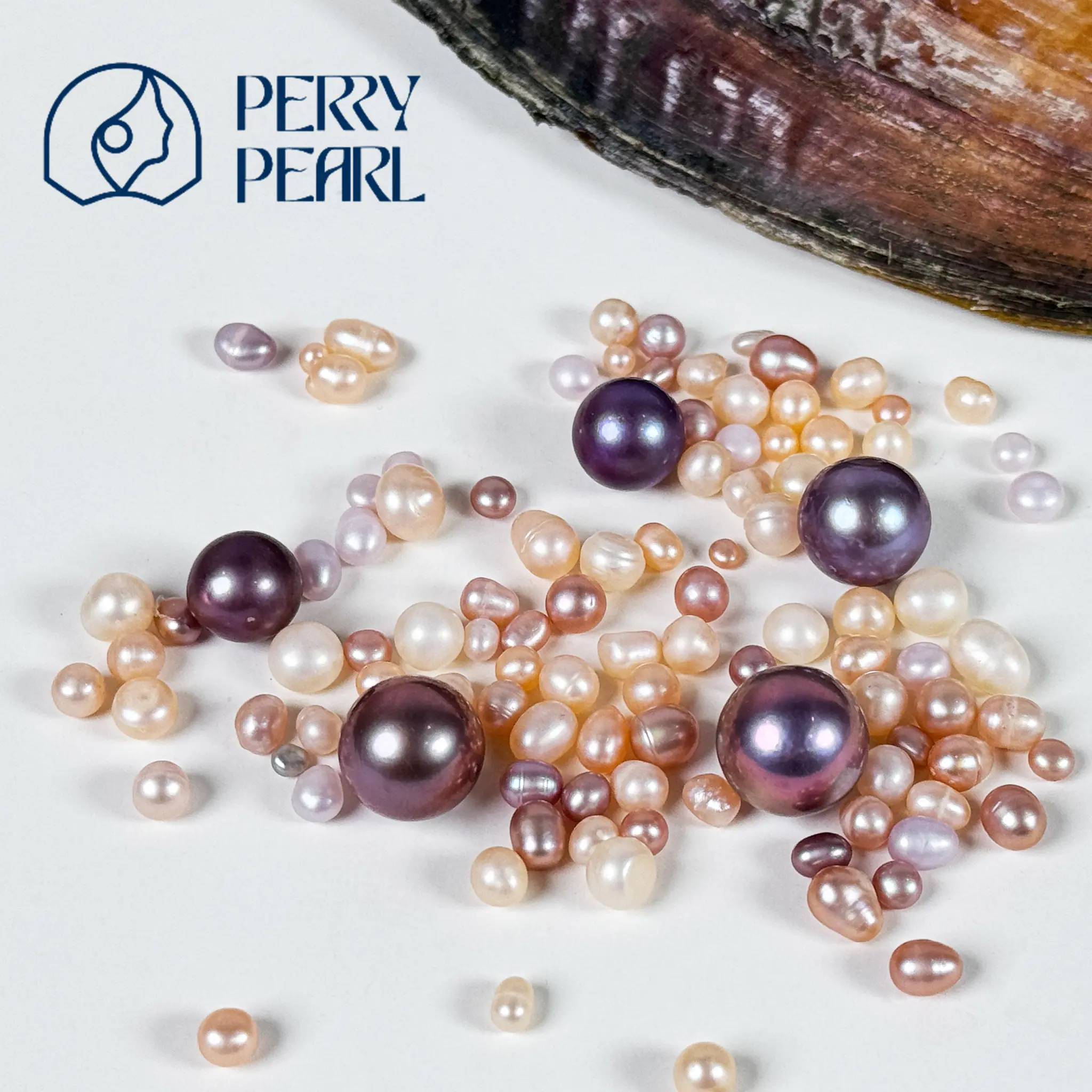 【Starter Set】 – Perry Party+Blue Berry - TikTok Shop