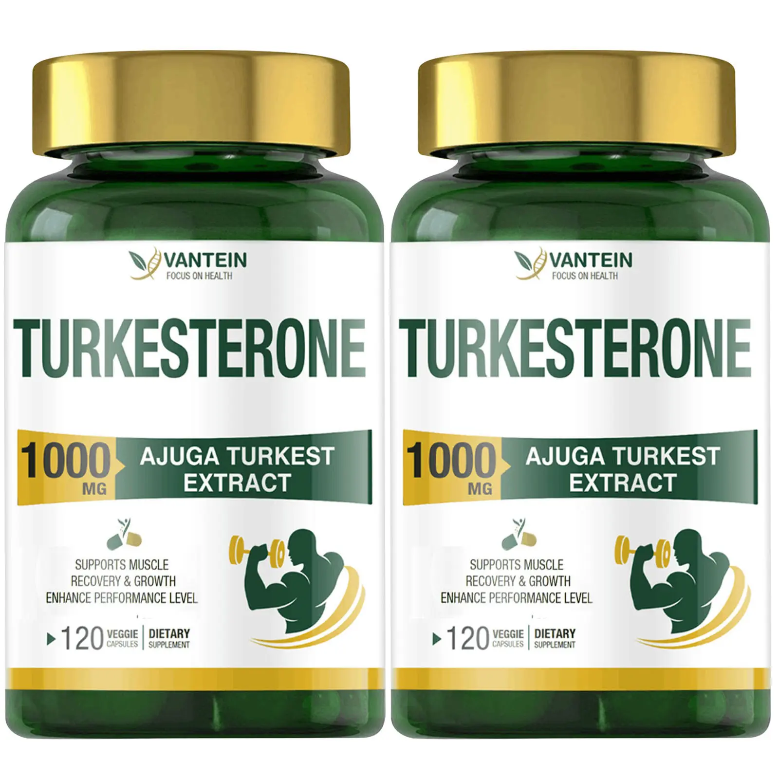 Turkesterone Dietary Supplement - 1000mg Pure Ajuga Turkestanica Extract Vitamin, 120 Capsules per Bottle (2 Bottles Total), Supports Fitness, Energy & Lean Muscle Growth Nutrition