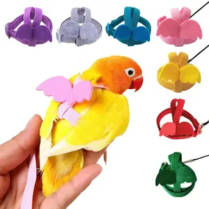 Small Bird Harness Leash Kit Bite-Proof Adjustable Training Gear Outdoor Flight Rope for Parrots with Secure Fit
