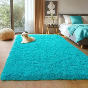 BOOPBEEP Fluffy Shaggy Area Rug, Super Soft And Cozy Rug Non-Slip Plush Carpet, Floor Mat For Home Decor,Rug For Living Room,for Bed Room, Dorm, Room Decor, Back To School Supplies, Accent Rugs And Floor Covering, Fuze Rug, Ideal Gift for Family, HotPink