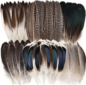 Ihufeather 60Pcs Natural Pheasant Feathers Bulk Spotted Feathers 6 Styles Mixed Feathers for Crafts DIY Hat Floral Arrangements Wedding Home Decorations iHUFeather