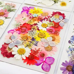 42pcs 15 Pieces Real Natural Dry Pressed Flower Resin Molds, Dry Pressed Flower Set for DIY Jewelry Making Nail Cards Decoration Handmade Gifts