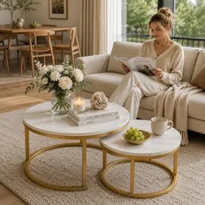 2pcs Modern Nesting Coffee Table Set, Faux Marble Round Tables with Gold Metal Frame for Living Room