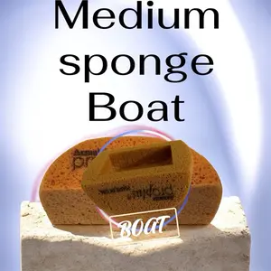 Armaly Pro Plus Pine Custom Sponge for ASMR Uses - Large Clamshell Design - Made in USA