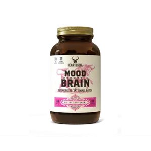 Mood, Memory & Brain