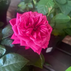Nature Photography