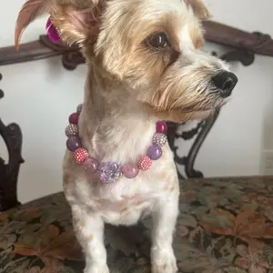Customizable Beaded Dog/Cat Collar