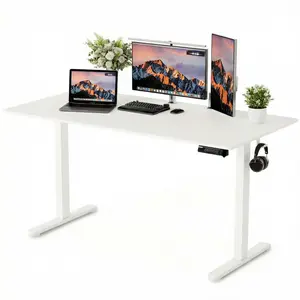 Electric Sit Stand Desk 55 Inch, Motorized Height Adjustable Desk for Home Office, Sturdy Computer Workstation, White