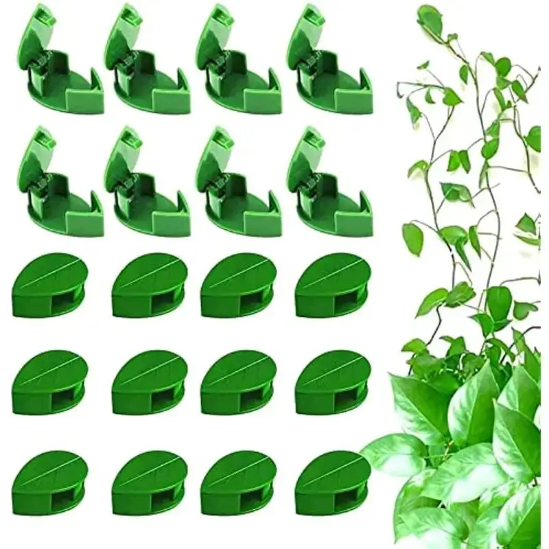 Plant Climbing Wall Fixture Clip, 30pcs/set Invisible Wall Vines Fixing Clip for Easy Plant Binding & Traction, Easy to Use, Garden Supplies