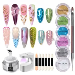 TRICOLOR FISH The 5-in-1 3D Gel & Chrome Powder Set includes 15g of 5-in-1 3D gel, 6 colors of chrome powder, a dual-ended brush, base coat, top coat, and a mini square UV/LED lamp. Nail Art Nail Polish