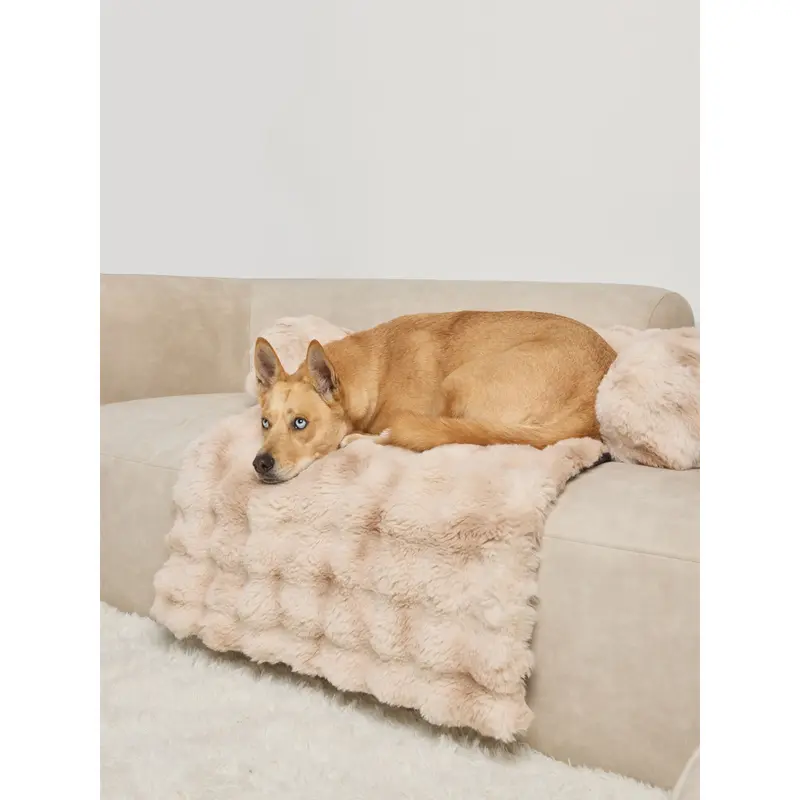 Fluffy Dog And Cat Blanket - 80x60cm Super Soft Fleece Sleep Mat For Pets