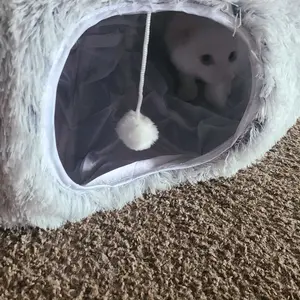 Product Review of Winter Warm Pet Bed, 2 in 1 Foldable Cat Tunnel Cat Bed, Warm Plush Cat Bed with Hanging Ball & Tunnel Buckle, Pet Supplies for Indoor Outdoor Use from L**a ☕**💙