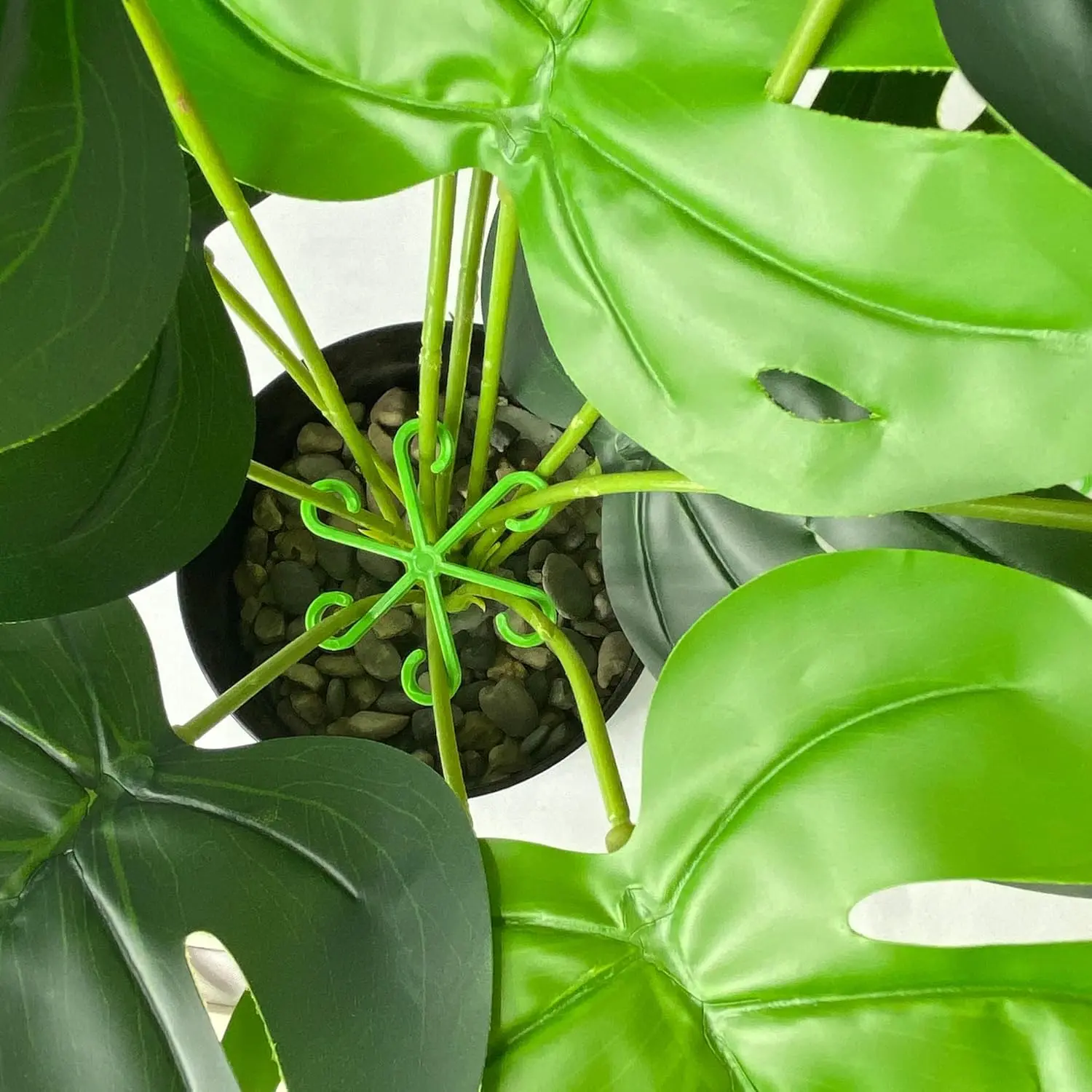 12-Count Synthetic Stem Support Holders - Indoor Plant Trellis, 2.2 in, 6 Hooks, Easy Handling Climber Plant Care Accessories for Healthier Growth