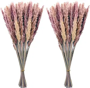 60 Pcs Pampas Grass ,17.7 Inch/45Cm Natural Dried Pampas Grass Branches Decor for Home Kitchen Garden Party Photographing Flower Arrangement Vase Decor (Natural)…