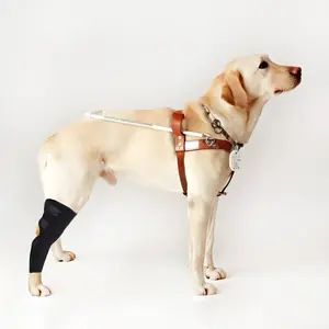 Dog Knee Protector Injury Protection, Dog Leg Fracture Fixing Support, Pet Front and Rear Legs Stabilizer Assist Band