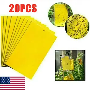 10 PCS / 20 PCS / 40 PCS Strong Adhesive Board - Free of Chemical Components