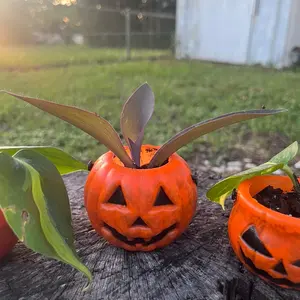 Halloween Jack O’ Lantern Pumpkin Planter Set with Houseplant Starter Plants Included for Home Garden