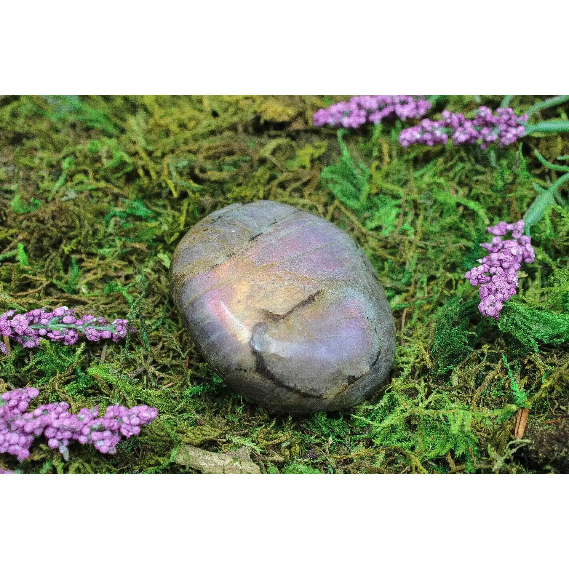 Purple Labradorite Freeform