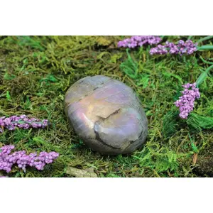Purple Labradorite Freeform