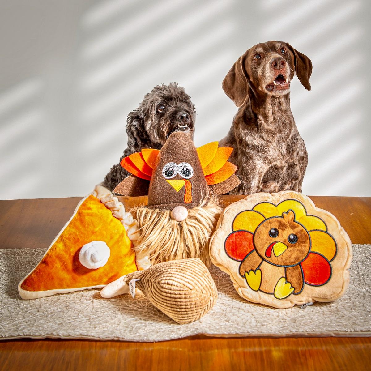 Midlee Thanksgiving Gnome Dog Toy with Hidden Ball Plush Interactive Toy 10" Tall 5.5" Diameter Durable Rubber Ball Inside