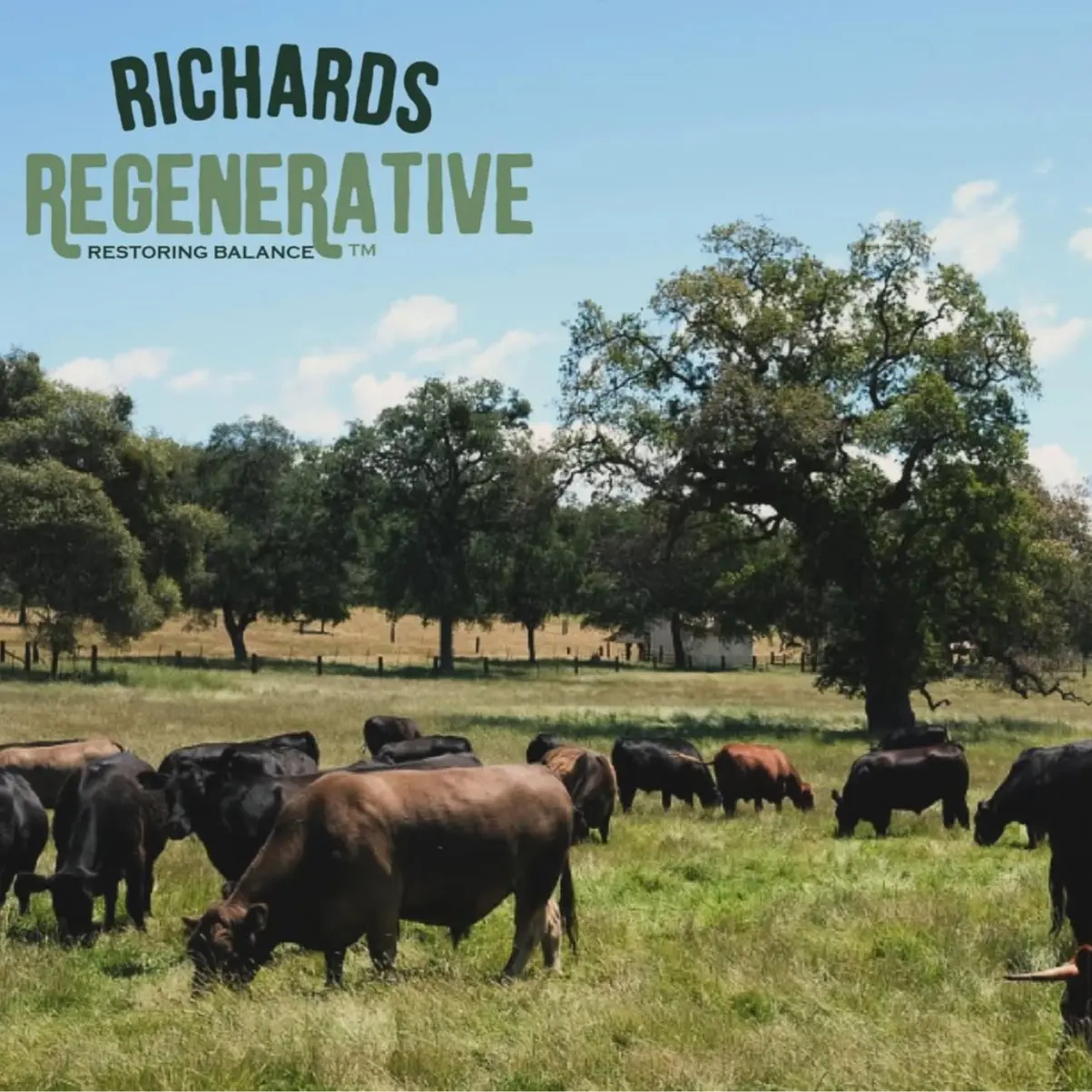 Richards Regenerative Steaks - Grass-Fed - Free Range - Flat Iron Steaks, Tri-Tip - All Natural