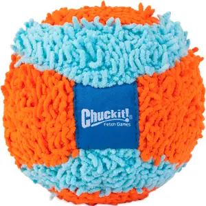 ChuckIt Fetch Ball for Dogs - Indoor Training Toy