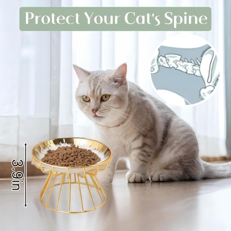 Elevated Cat Bowl with Iron Stand – Ceramic Water & Food Feeding Station for Cats and Small Dogs (Silver/Gold)