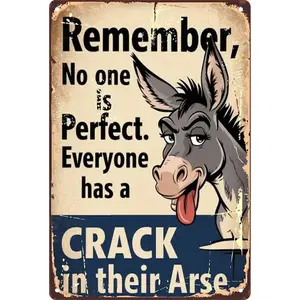8x12 Aluminum Metal Sign | Remember No One Is Perfect Funny Donkey Meme Sign