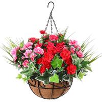 Mixed colors (azalea)