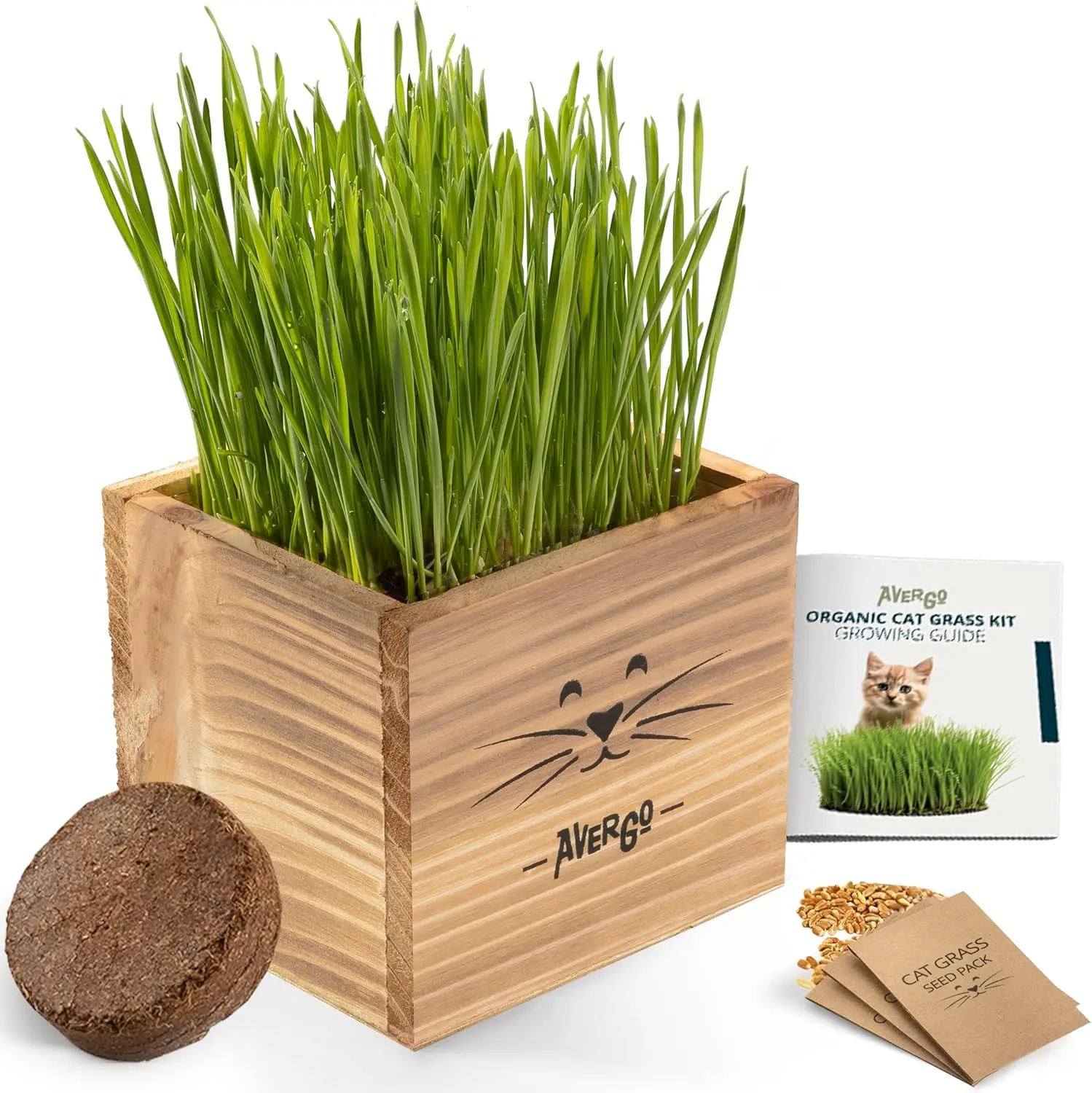 Cat Grass Kit for Indoor Cats – x2 Seed Packets | Cat Grass Seeds with Wooden Planter, Soil & Mini Gardening Tools – Pet-Safe Wheatgrass Grass